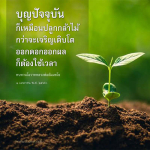 บุญปัจจุบัน: การปลูกกล้าไม้แห่งความดี