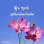 ภาพ No.9480:คติคำคม ข้อคิดสอนใจ