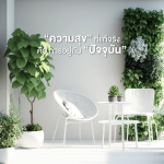 ภาพ No.15848:ทั่วไป