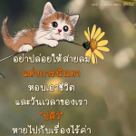 ปล่อยให้สายลมแห่งการนินทา - พระนพดล สิริวํโส