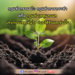 กฎแห่งกรรม: ความเข้าใจเกี่ยวกับเหตุและผลในชีวิต