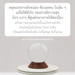 การฝึกจิตใจตามโอวาทหลวงพ่อธัมมชโย
