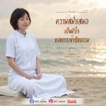 ภาพ No.16414:ทั่วไป
