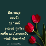 ความสุขและสุขภาพดีในวันอาทิตย์ | พระนพดล สิริวํโส