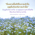 ความสุขและความสำเร็จจากบุญ: บันทึกธรรมคุณครูไม่ใหญ่