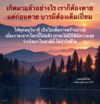 ภาพ No.16271:ทั่วไป