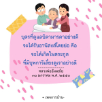 ภาพ No.16230:ทั่วไป