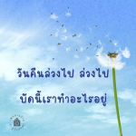 ภาพ No.11812:พระอนันต์ ตโมนุโท