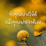 ภาพ No.9266:กำลังใจให้คุณ