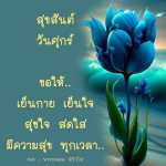 ภาพ No.12642:คำสอนหลวงพ่อธัมมชโย