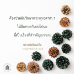 การรักษาพระพุทธศาสนา: ความสำคัญและบทบาทของหลวงพ่อธัมมชโย