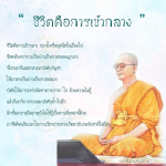 ชีวิตคือการเข้ากลาง: หลุดพ้นจากการเป็นทาสของกิเลส