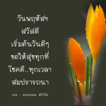 ภาพ No.8968:คำสอนคุณยาย