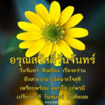 อรุณสวัสดิ์วันจันทร์: ความสวยงามและความสุขในวันจันทร์