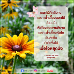 ดอกไม้ที่ผลิบาน: น้ำเลี้ยงหัวใจและความสดใส