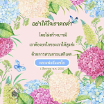 ภาพ No.16304:ทั่วไป