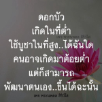 ดอกบัว: สัญลักษณ์แห่งการพัฒนาตนเอง