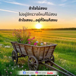 การค้นหาความสงบในจิตใจ: คำสอนจากคุณครูไม่ใหญ่