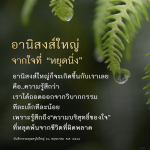 อานิสงส์ใหญ่จากการหยุดนิ่ง: ความบริสุทธิ์ของใจ