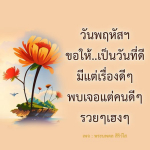 ภาพ No.12378:พระนพดล สิริวํโส