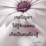 ภาพ No.12095:พระนพดล สิริวํโส