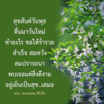 สุขสันต์วันพุธ: ตื่นมาวันใหม่ด้วยความร่ำรวยและสมหวัง