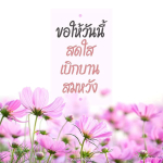 การ์ดคำสอนในพระพุทธศาสนา ทั่วไป