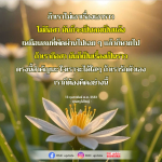 การไม่ถือสา: วิธีทำให้ใจใสๆ และรักตัวเอง