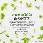 วางอารมณ์ให้เป็น: เทคนิคการฝึกตัดใจอย่างมีสติ