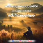ความสมบูรณ์แบบของชีวิต: การยอมรับในสิ่งที่ไม่สมบูรณ์แบบ