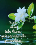 ภาพ No.14741:ภาพสวัสดียามเช้า