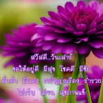 พระนพดล สิริว - สวัสดีวันเสาร์ที่เต็มไปด้วยความสุข