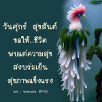 ภาพ No.9178:คำสอนหลวงพ่อธัมมชโย