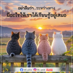 DMC Update: เรียนรู้ระหว่างทางสู่ความสำเร็จ