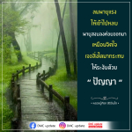 การรับมือกับลมพายุแรง: ปัญญาในการจัดการกับความเครียด