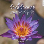 ภาพ No.15017:ทั่วไป