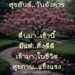 สุขสันต์วันอังคาร: เริ่มต้นวันใหม่ด้วยสิ่งดีดี