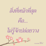 ภาพ No.8730:พระนพดล สิริวํโส