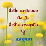 ภาพ No.11548:คำสอนพระอาจารย์