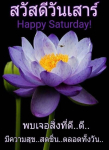 ภาพ No.16025:ทั่วไป