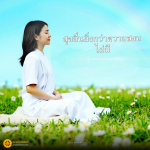 ภาพ No.16344:ทั่วไป