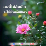 ภาพ No.15429:ทั่วไป