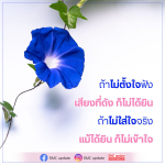 DMC Update: ฟังเสียงที่สำคัญเพื่อความเข้าใจ