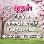 บุญเก่า: ต้นไม้แห่งผลบุญที่เราปลูก