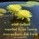  อีการ์ดภาพสวัสดียามเช้าส่งมอบเพื่อเป็นการทักทายให้กำลังใจเพื่อมิตรภาพในเช้าวันใหม่ของทุกๆ วัน