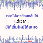 เริ่มต้นใหม่กับ DMC: อัปเดตข่าวสารและความรู้