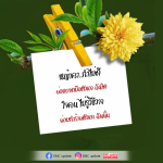 หญ้าคา: ทำความเข้าใจและหลีกเลี่ยงความเสี่ยง