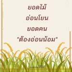 ธรรมะสั้นๆ ลึกซึ้งกินใจให้ข้อคิดข้อธรรม ทันสมัยเหมาะกับทุกยุคทุกวัย