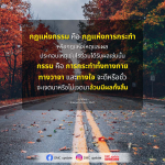ภาพ No.16439:ทั่วไป