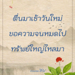 ภาพ No.9057:พระนพดล สิริวํโส